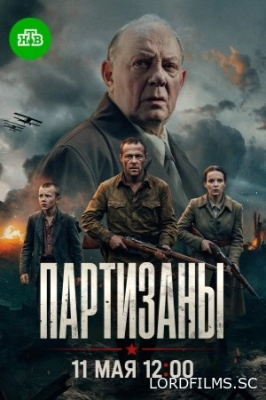 Партизаны